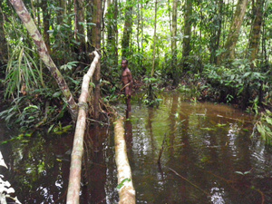 <strong>Lire la suite</strong><br>Carnet de voyage chez les Korowai Carnet de voyage chez les Korowai